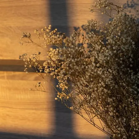 Lieblingsquartier Komplett * זנקט אנדריאסברג